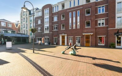 Damplein wordt “vergroend”
